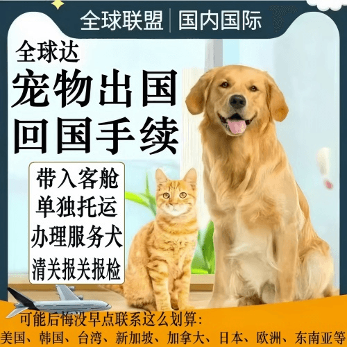 黑龙江省宠物托运到柬埔寨宠物入境规定和要求