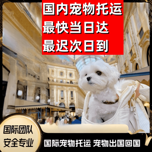 黑龙江省到澳大利亚（澳洲）宠物入境规定和要求