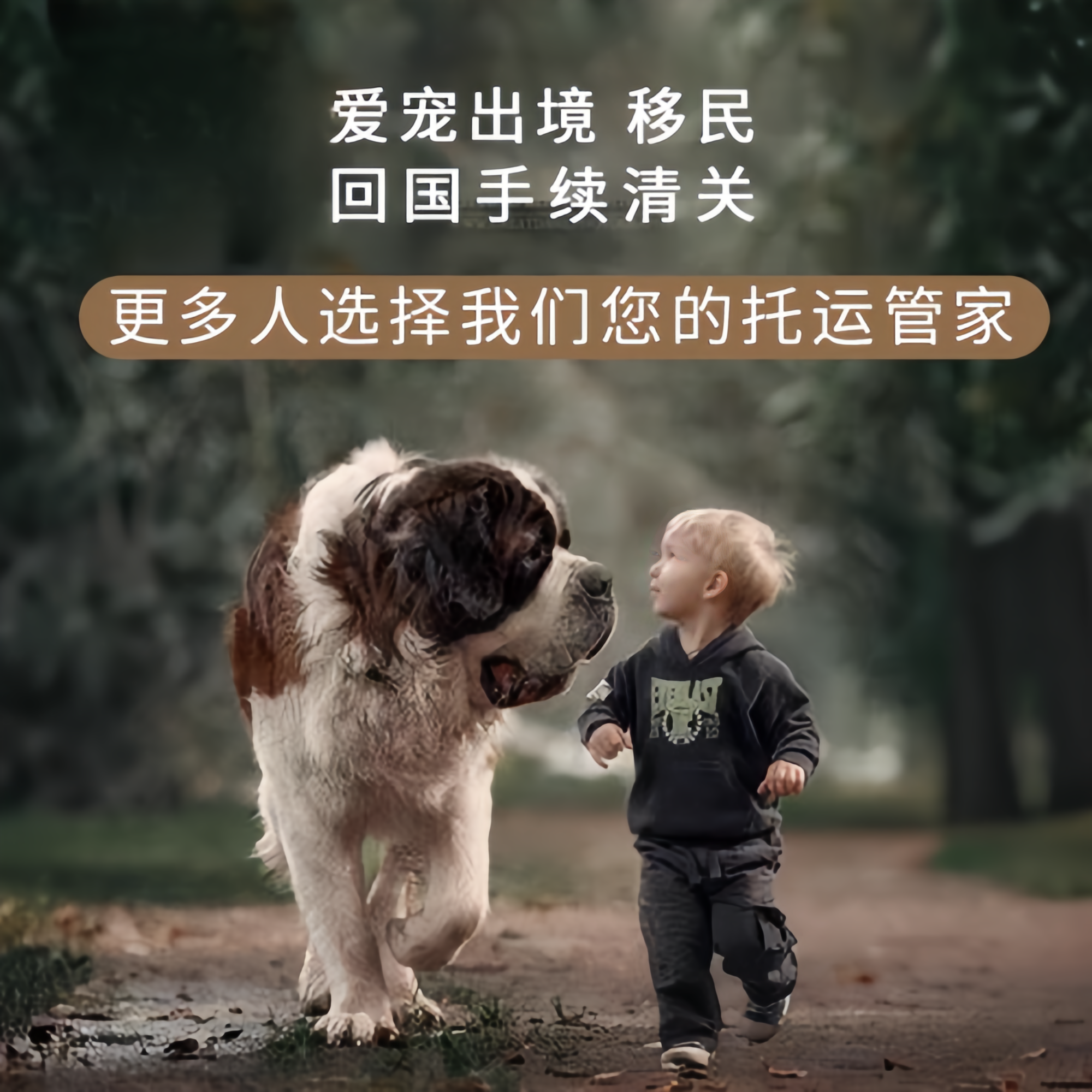 满财黑龙江省宠物全球达宠物托运在遵守入境目的地政策的条件