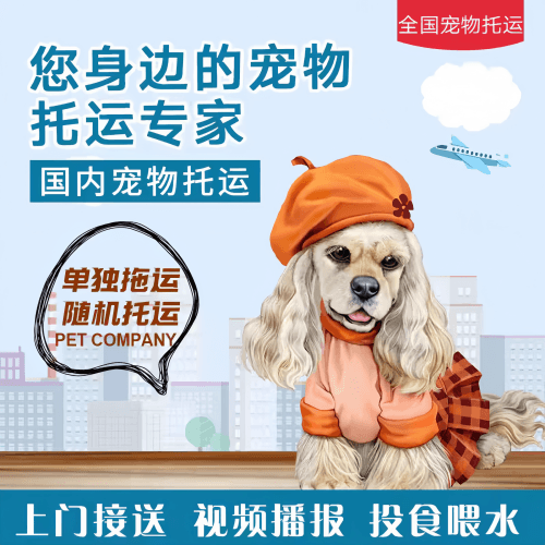满财黑龙江省宠物全球达宠物托运作为专业的宠物运输代理机构